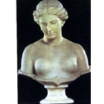 Busts Marble - T158