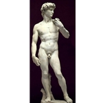 David Michelangelo - 1504