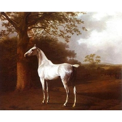 White Horse in Pasture, Jacques Laurent Agasse, 1767-1849