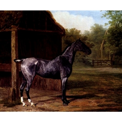Lord Rivers' Roan mare In A Landscape