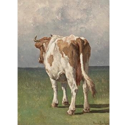 Study Of A Cow
