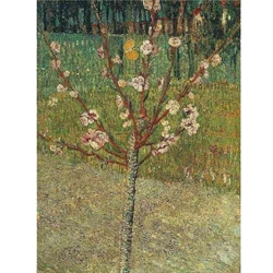 Van Gogh Almond Tree