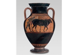 Belly Amphora Herakles Driving a Bull