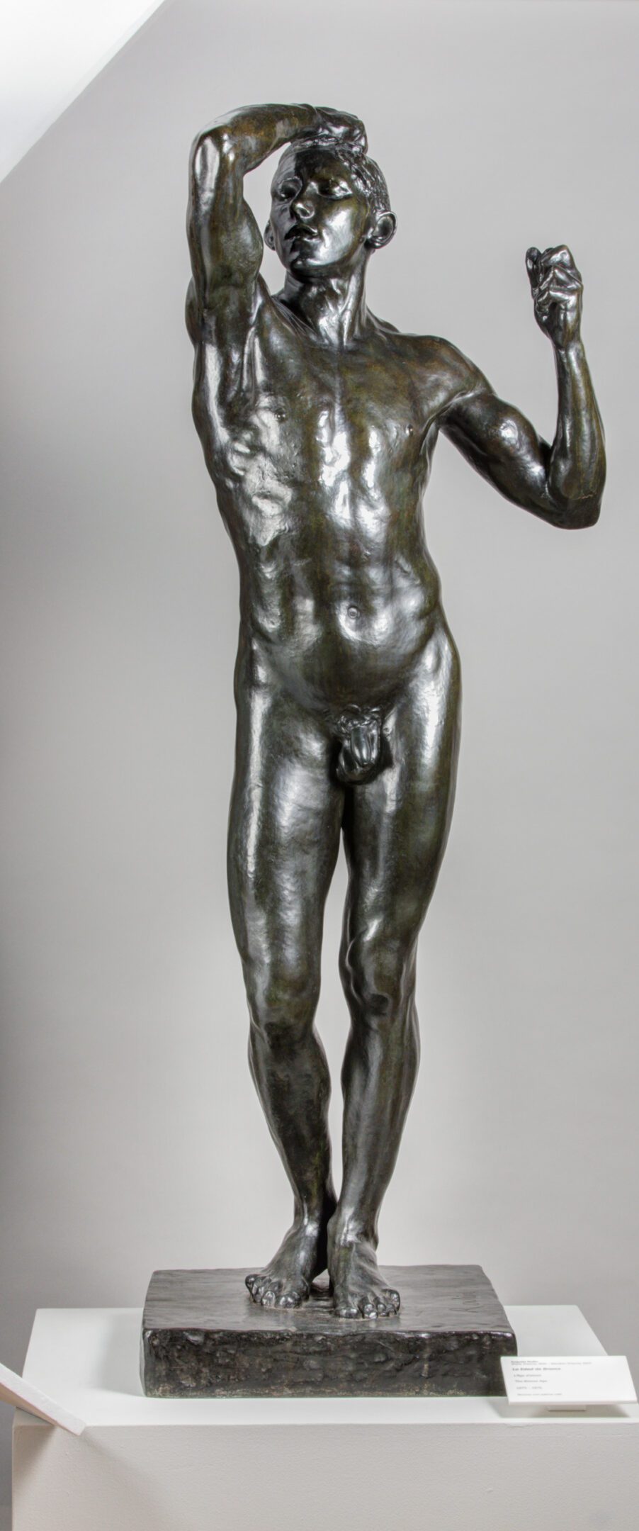 Age of Bronze Age of Bronze