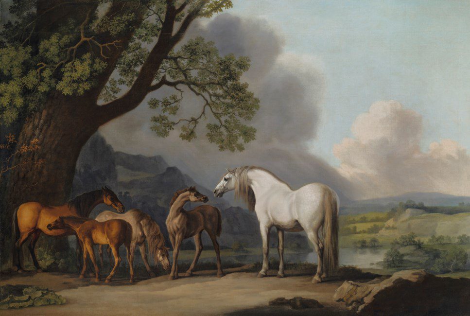 Mares and foals in an extensive landscape Geo Mares and foals in an extensive landscape Geo